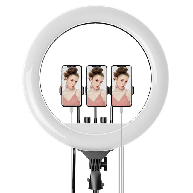 54cm LED Ring Light with Adjustable Brightness & Color Temperature, Stand, Remote, and Carry Bag