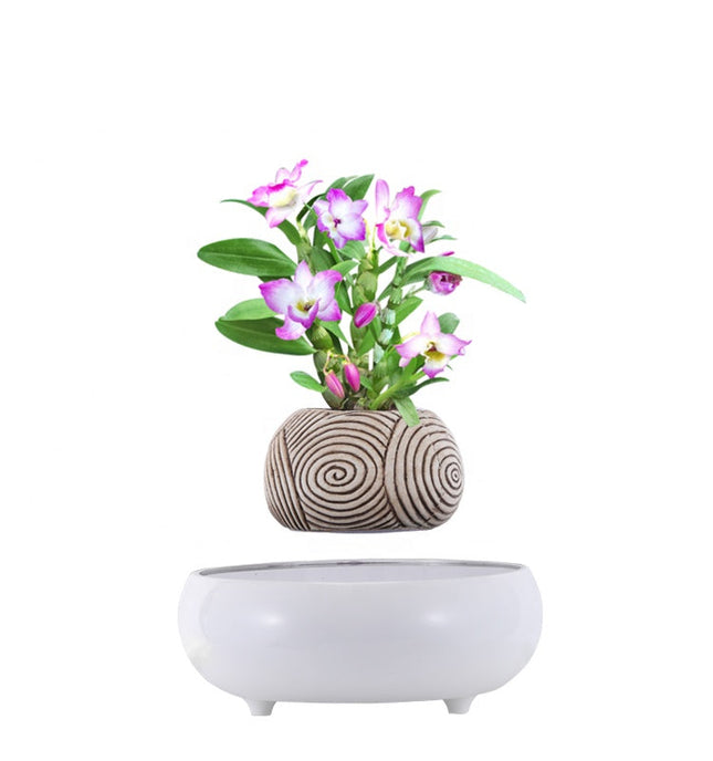 Floating Magnetic Ceramic Planter for Modern Interiors – Elegant Desk & Table Decor