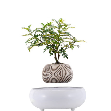 Floating Magnetic Ceramic Planter for Modern Interiors – Elegant Desk & Table Decor