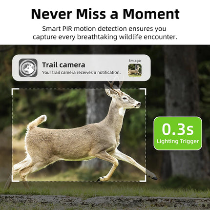 Waterproof 4G Trail Camera Wide Angle 140 Degree Lens Night Vision