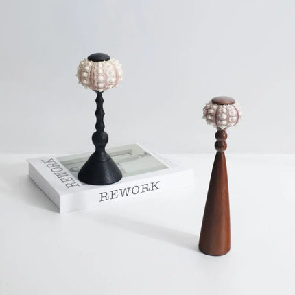 Ocean-Inspired Shell LED Table Lamp – Coastal Resin Accent Light for Home Décor