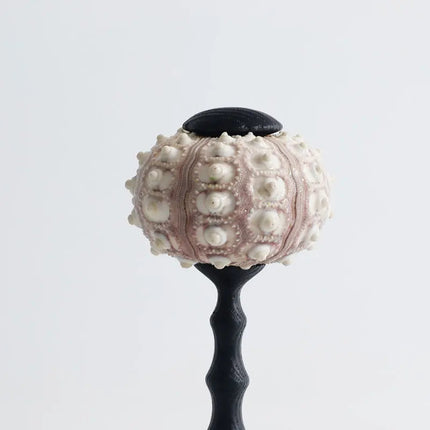 Ocean-Inspired Shell LED Table Lamp – Coastal Resin Accent Light for Home Décor