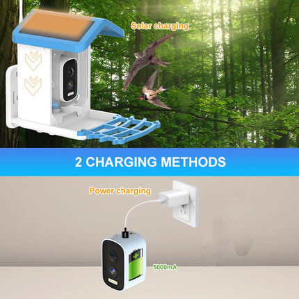 Smart Bird Feeder with 5MP 2.5K Camera | Solar & USB-C Charging | 1.5L Capacity