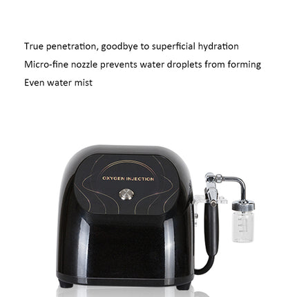 Portable Rechargeable Nano Facial Mist Sprayer with USB Charging