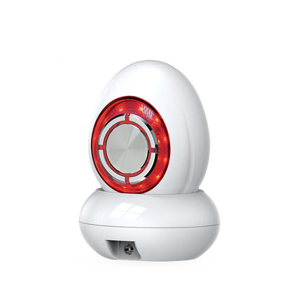 Rechargeable RF EMS Face Massager with Red LED Light and Micro Vibration