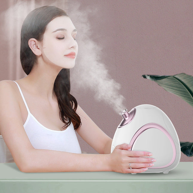 Portable Ionic Face Steamer Nano Mist Sprayer with Adjustable Nozzle