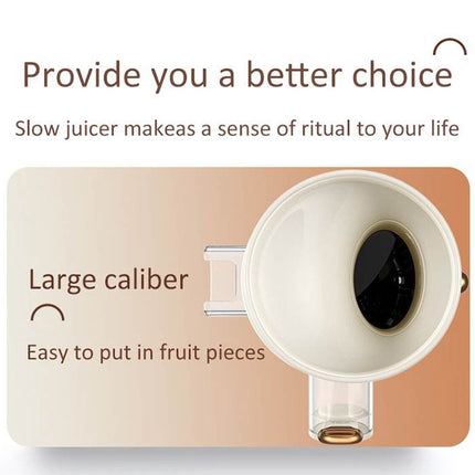 Portable USB Rechargeable Slow Juicer 250ml Cordless Cold Press Fruit Juice Extractor
