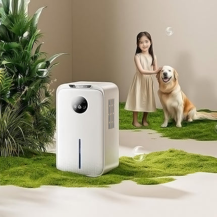 Portable Household Dehumidifier with 1L Water Tank and Electronic Humidity Control