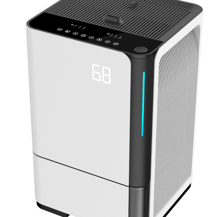 Portable 2-in-1 Humidifier and Dehumidifier with Touchscreen Control