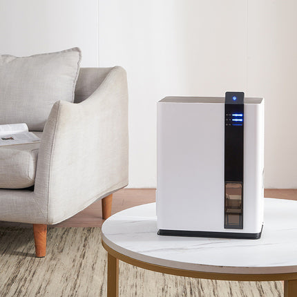 Quiet Home Dehumidifier with Adjustable Humidity Control and LED Display 2.6L Tank