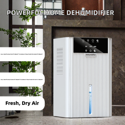 Compact Electric Mini Dehumidifier for Home Use with Adjustable Humidity Control
