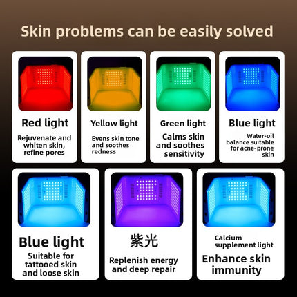 Dual Spray LED Light Beauty Care Device Handheld Facial Mist for Home and Salon Use