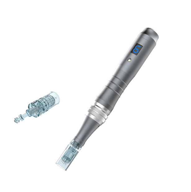 Portable Cordless Skin Care Pen Device with Multi Needle Cartridges & LED Control