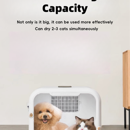 Smart Multi Function Pet Dryer Box with Adjustable Air Modes and Built in Odor Reduction System