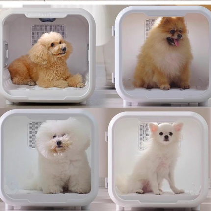 Smart Multi Function Pet Dryer Box with Adjustable Air Modes and Built in Odor Reduction System