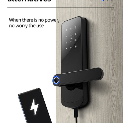 Single Latch WiFi Smart Door Lock with Fingerprint Password Card Key Tuya App Control