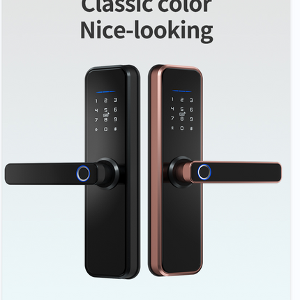 Tuya Smart Digital Door Lock Fingerprint Password Card Entry Mortise System