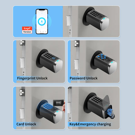 5 Inch IPS Display Smart Door Lock Fingerprint App Control Password Code Aluminum Alloy Type C Power