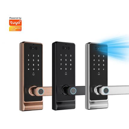 Aluminium Alloy Smart Door Lock with Face Recognition, Fingerprint, Card and Key Access