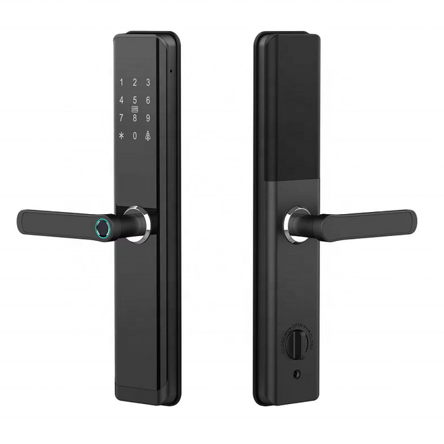 Smart Door Lock for Steel and Aluminium Doors with Fingerprint, Card, Password, Key and App Access