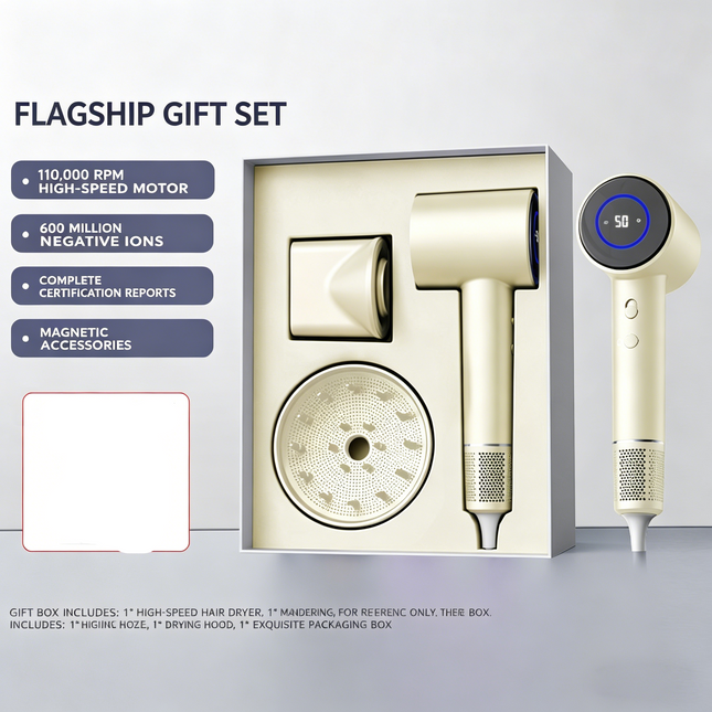 Wall Mounted Ionic Hair Dryer with DC Motor and Hot Cold Functions for Home Hotel and RV Use