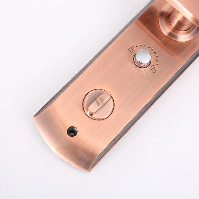 Smart Door Lock with Fingerprint Recognition, Password Access and Sliding Cover Design