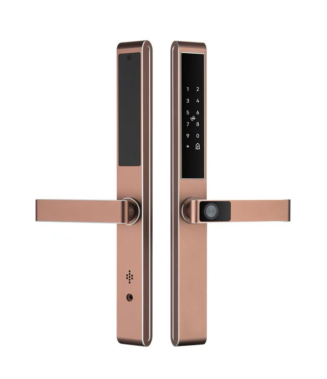 Aluminium Alloy Smart Door Lock with Fingerprint Access and Tuya App Control
