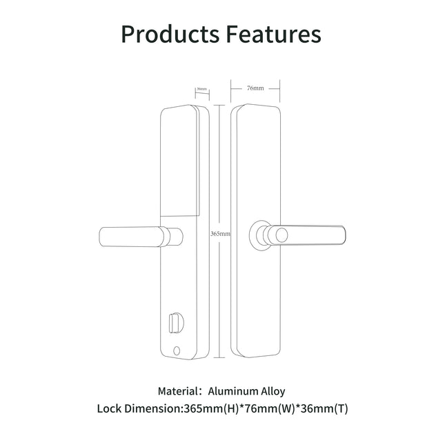 Wi-Fi Smart Fingerprint Door Lock with Aluminum Alloy Handle and Cloud Storage Support