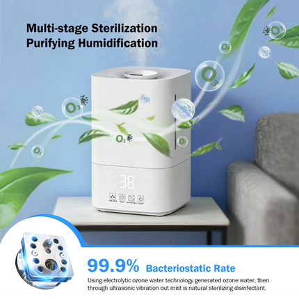 4L Air Purifier and Humidifier with Fine Mist, Methanal Reduction Function and Adjustable Mist Output