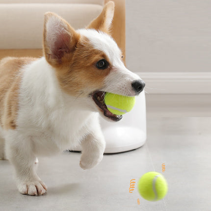Interactive Puzzle Tennis Ball Launcher for Pets with Snack Rewards and Training Modes