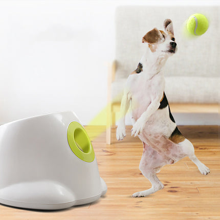 Interactive Puzzle Tennis Ball Launcher for Pets with Snack Rewards and Training Modes