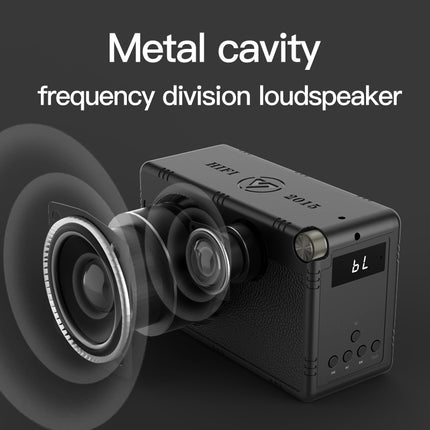 40W Wireless Sound Speaker with Carry Strap, IPX5 Water Resistant, Long Battery Life