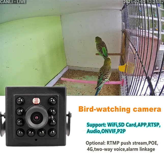 Outdoor 1080P Security Camera with Night Vision Two-Way Audio