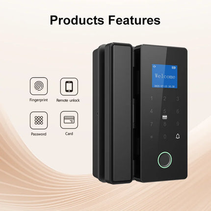 Wireless Smart Lock for Glass Doors with Fingerprint, Card and Password Access