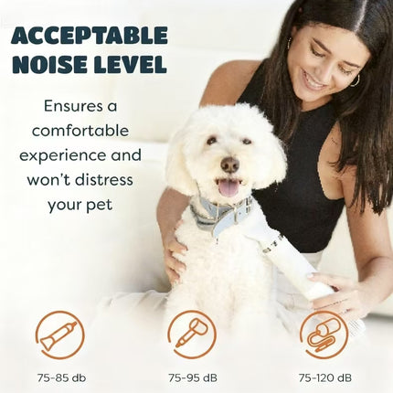 5 in 1 Pet Hair Dryer Adjustable Speed Low Noise Non Slip Handle for Dogs Cats