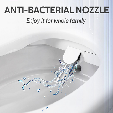 Smart Electric Bidet Toilet Seat with Heated Seat, Warm Air Drying, Posterior & Feminine Wash, Waterproof