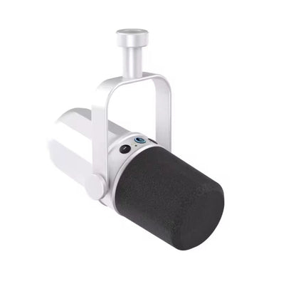 Professional Dynamic XLR Microphone with Cardioid Pickup for Studio Recording, Podcasting & Broadcasting