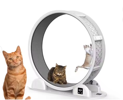 Indoor Cat Running Wheel Fitness Training for Walking and Exercise