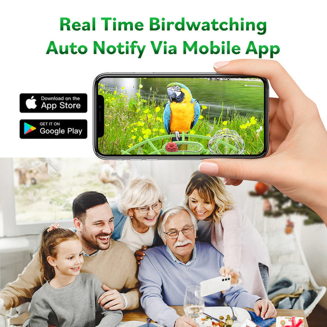 Outdoor Solar Bird Feeder Camera 4MP HD with Two-Way Audio & Motion Alerts