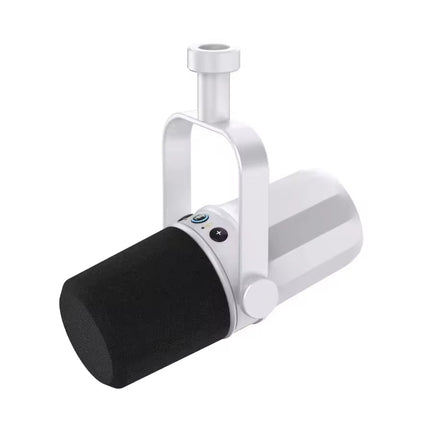 Professional Dynamic XLR Microphone with Cardioid Pickup for Studio Recording, Podcasting & Broadcasting