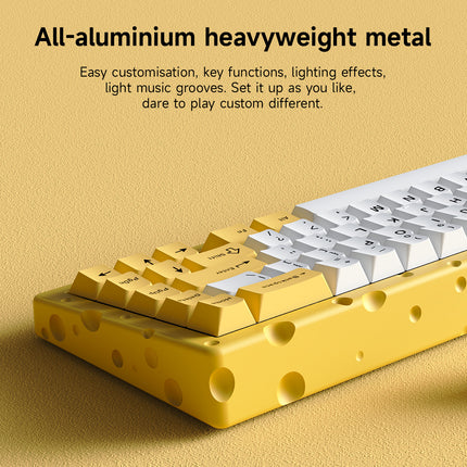RGB Wired Mechanical Keyboard 67 Key Compact Design Aluminium Alloy Build