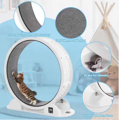 Indoor Cat Running Wheel Fitness Training for Walking and Exercise