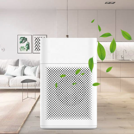 Smart WiFi 2-in-1 Air Purifier and Humidifier with HEPA & Activated Carbon Filter