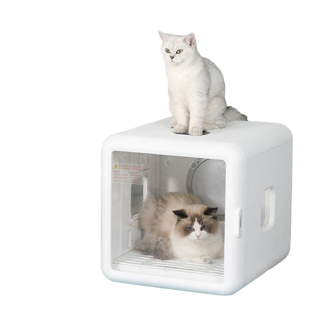 Spacious Full-View Pet Drying Chamber with Adjustable Heat and Rapid Airflow System