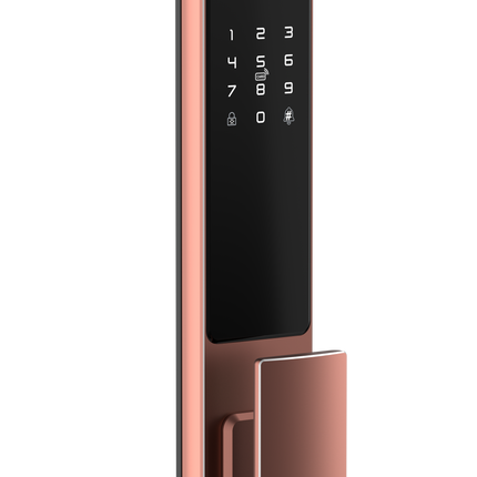 Tuya Smart Door Lock with 3D Face Recognition Indoor Display and Multiple Unlock Methods