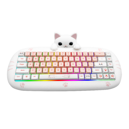 68-Key RGB Mechanical Gaming Keyboard with 2.4GHz Wireless and USB-C Connectivity, Hot-Swap Switches
