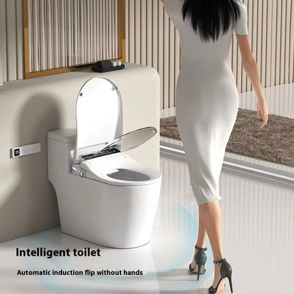 Electric Bidet Toilet Seat with LED Display, Warm Air Drying and IPX4 Waterproof Design