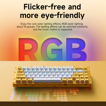 RGB Wired Mechanical Keyboard 67 Key Compact Design Aluminium Alloy Build