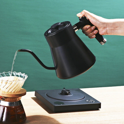 Cordless Stainless Steel Gooseneck Kettle with Digital Temperature Control and Auto Shut-Off