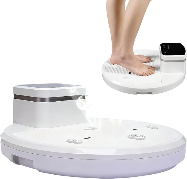Smart Full Body Dryer 2500W Wall Mounted with Timer & Negative Ion Technology